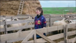 The Amazing Race - Season 38 Episode 07